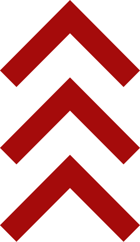 High-Severity Threat Icon